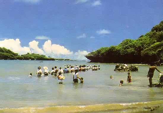 Villagers harvesting a school of mackerel in Talofofo Bay.